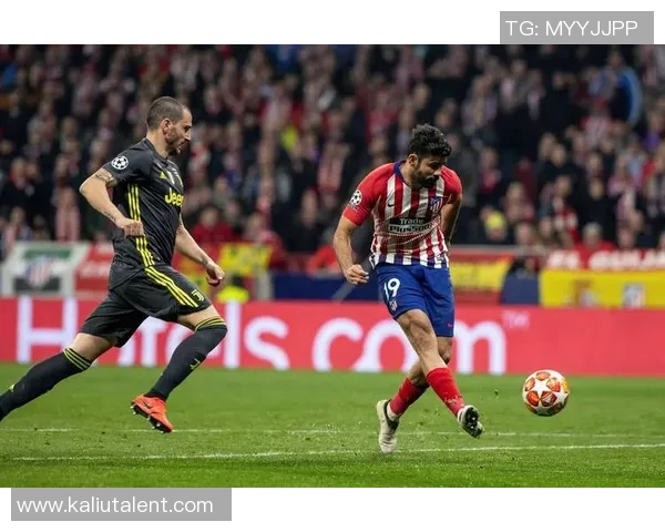 赫根与阿尔克马精彩对决直播全程回顾与分析尽在此处