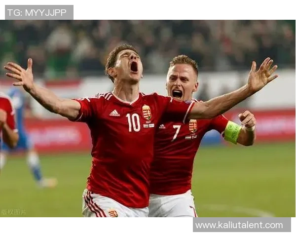 威尔士与保加利亚激战在即球迷期待精彩对决与历史交锋 威尔士与保加利亚激战在即球迷期待精彩对决与历史交锋