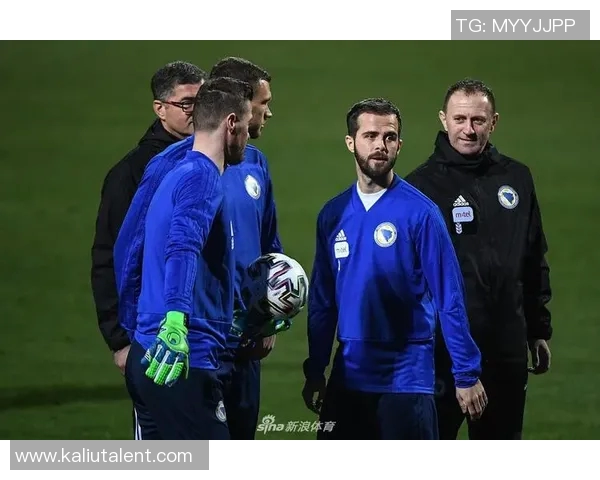 韩国队与波黑队的较量谁能笑到最后分析与预测