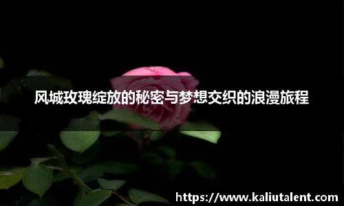 风城玫瑰绽放的秘密与梦想交织的浪漫旅程
